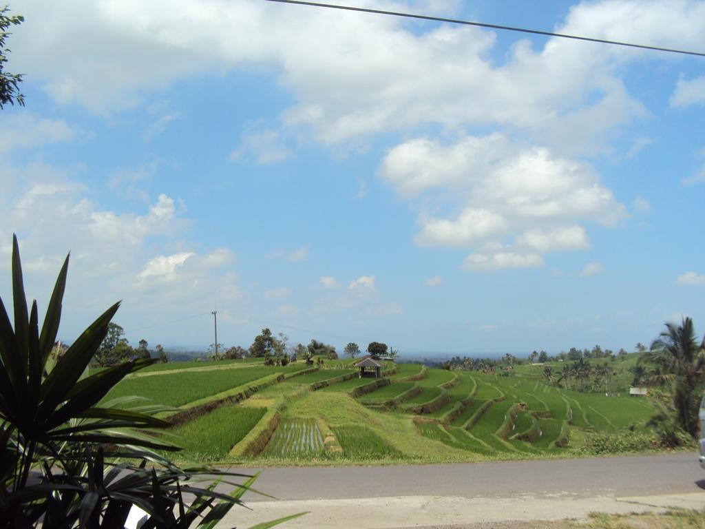 Teras Subak Jatiluwih Apartment Exterior photo